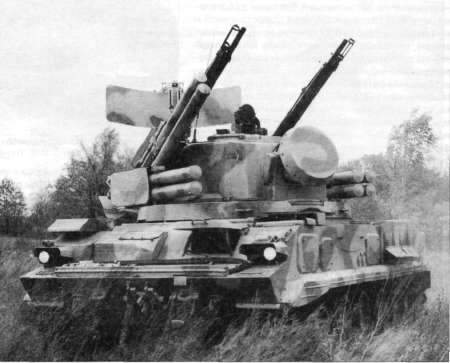 PVSV2039.jpg