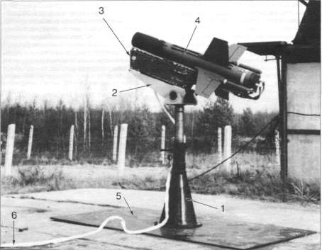 PtFal003.jpg