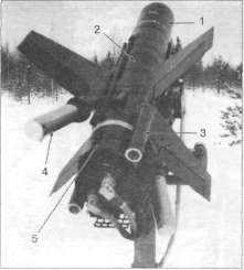 PtFal004.jpg