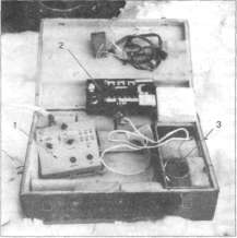 PtFal005.jpg