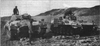 PzTAM010.jpg