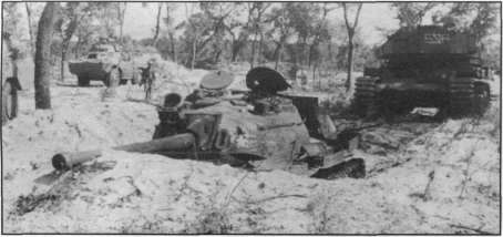T5462002.jpg
