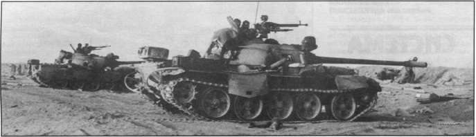 T5462006.jpg