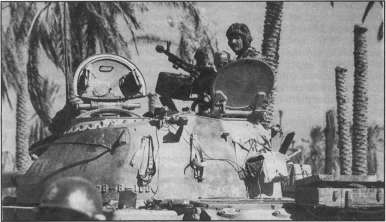T5462007.jpg