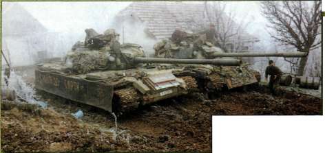 T5462008.jpg