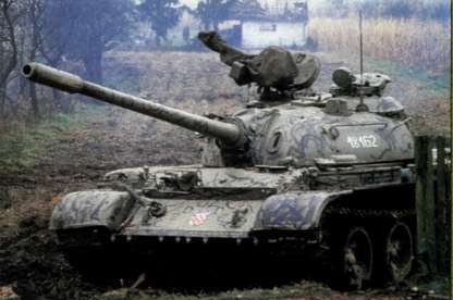 T5462009.jpg