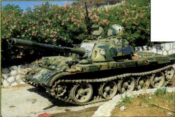 T5462010.jpg