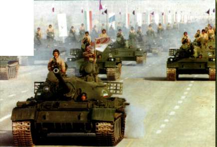 T5462011.jpg