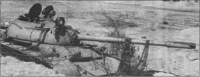 T5462013.jpg