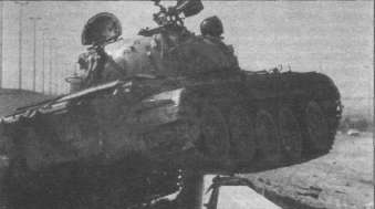 T5462015.jpg