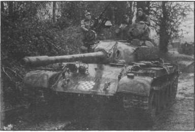 T5462021.jpg