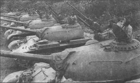 T5462025.jpg