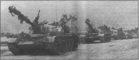 T5462027.jpg