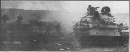 T5462030.jpg
