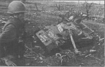 T5462032.jpg