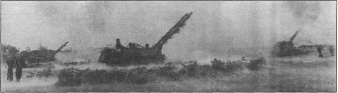 T5462033.jpg
