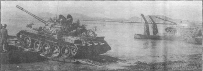 T5462035.jpg