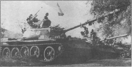 T5462036.jpg