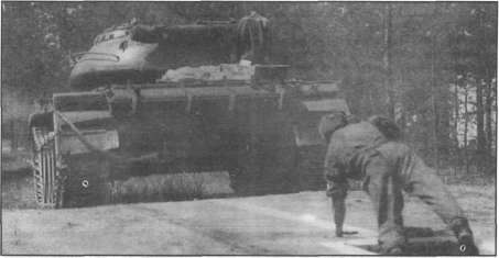 T5462041.jpg
