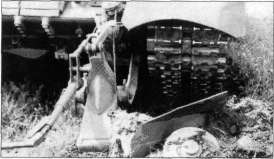 T64046.jpg