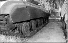 T64049.jpg