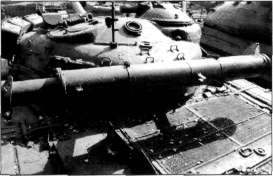T64051.jpg