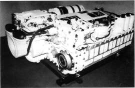 T64102.jpg