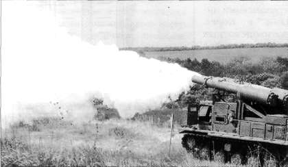 T64126.jpg
