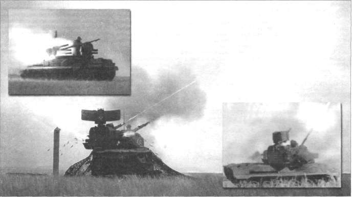Tungu009.jpg