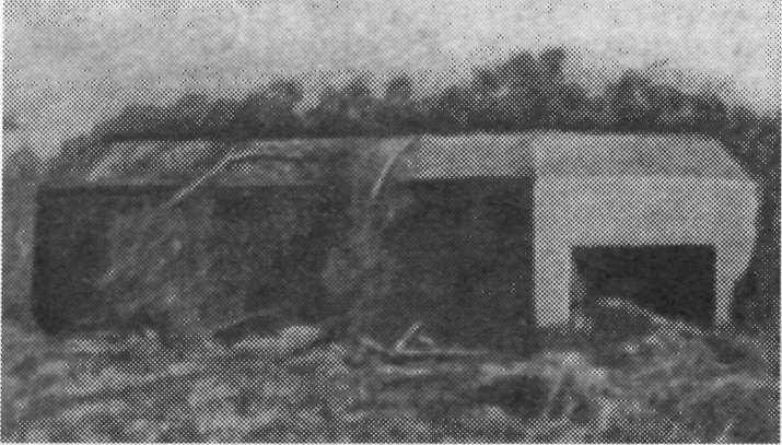 UndgW010.jpg