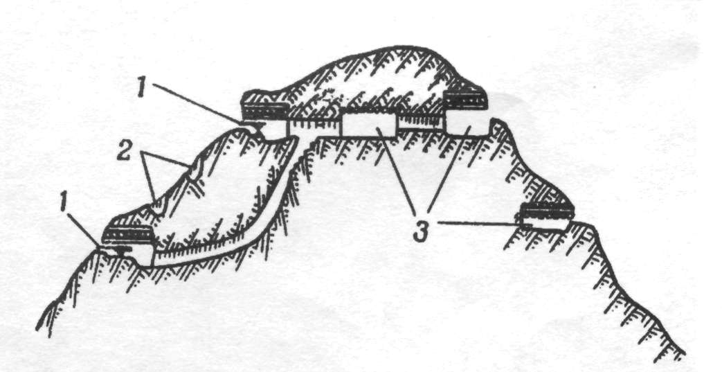 UndgW011.jpg