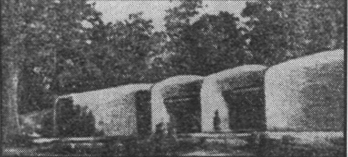 UndgW022.jpg