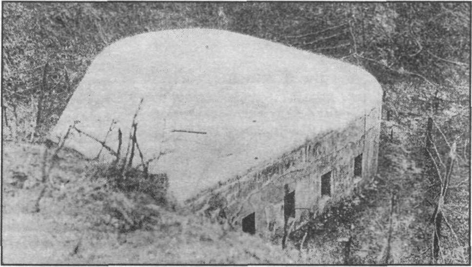 UndgW049.jpg
