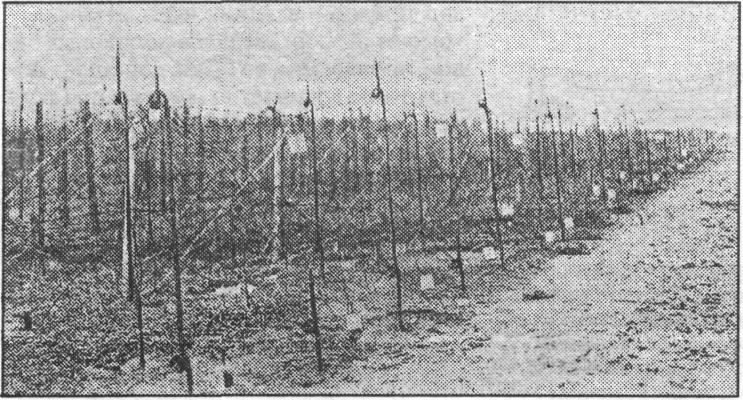 UndgW058.jpg