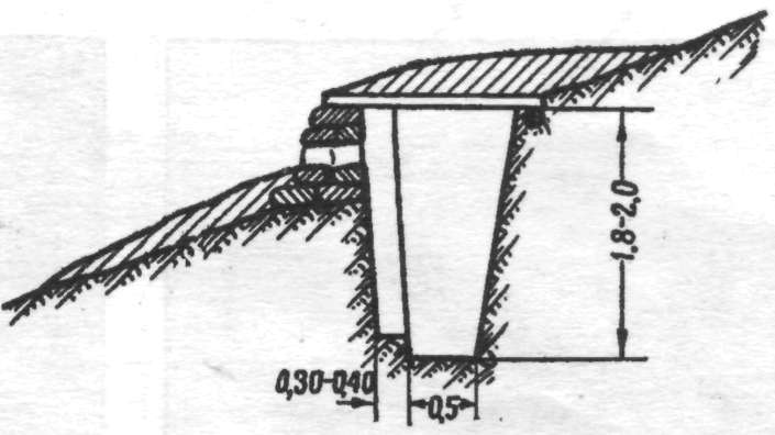 UndgW066.jpg