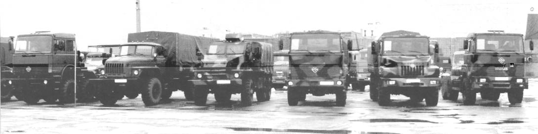 AvMus003.jpg