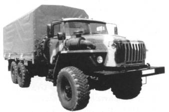 AvMus004.jpg