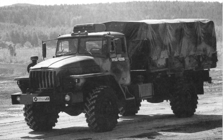 AvMus006.jpg