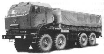 AvMus010.jpg