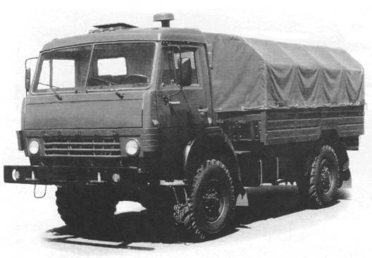 AvMus011.jpg