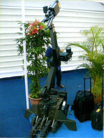 DSA06007.jpg
