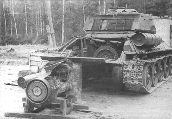 LsT34004.jpg