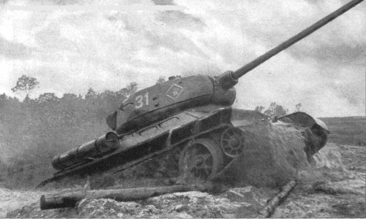 LsT34035.jpg