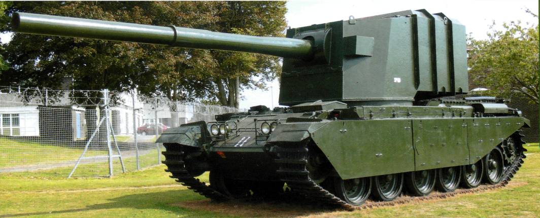 MBovi005.jpg