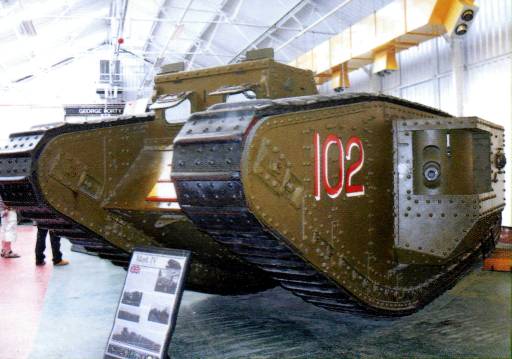 MBovi008.jpg