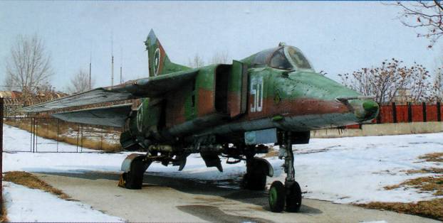 MuPlv019.jpg