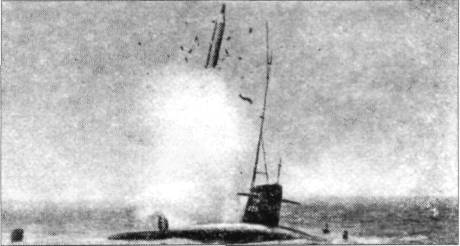 PolA1021.jpg