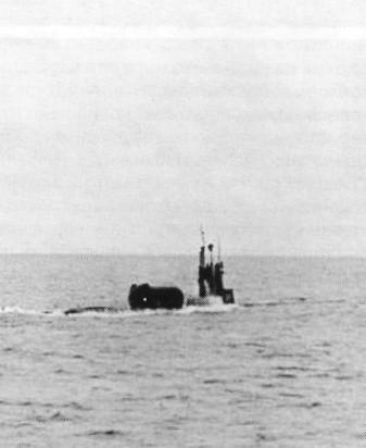 SSNG1050.jpg