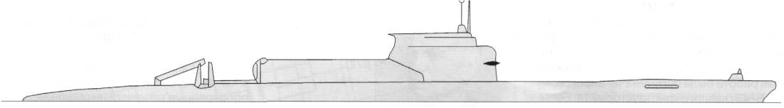 SSNG1088.jpg