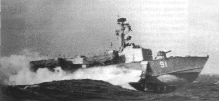 SSNG3095.jpg